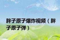 胖子原子爆炸视频（胖子原子弹）