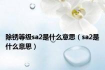 除锈等级sa2是什么意思（sa2是什么意思）