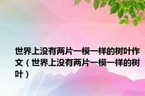 世界上没有两片一模一样的树叶作文（世界上没有两片一模一样的树叶）