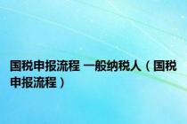 国税申报流程 一般纳税人（国税申报流程）