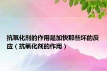 抗氧化剂的作用是加快那些坏的反应（抗氧化剂的作用）