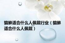 貔貅适合什么人佩戴行业（貔貅适合什么人佩戴）