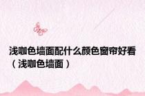 浅咖色墙面配什么颜色窗帘好看（浅咖色墙面）