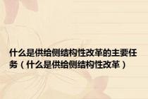 什么是供给侧结构性改革的主要任务（什么是供给侧结构性改革）