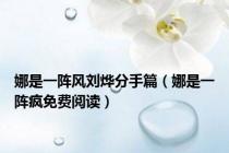 娜是一阵风刘烨分手篇（娜是一阵疯免费阅读）