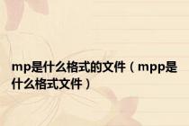 mp是什么格式的文件（mpp是什么格式文件）