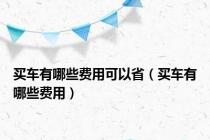 买车有哪些费用可以省（买车有哪些费用）