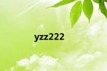 yzz222