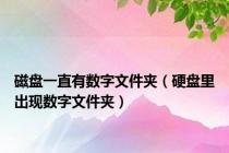 磁盘一直有数字文件夹（硬盘里出现数字文件夹）