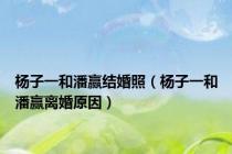 杨子一和潘赢结婚照（杨子一和潘赢离婚原因）