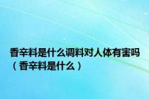 香辛料是什么调料对人体有害吗（香辛料是什么）