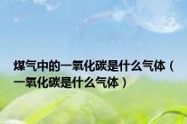 煤气中的一氧化碳是什么气体（一氧化碳是什么气体）