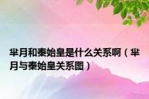 芈月和秦始皇是什么关系啊（芈月与秦始皇关系图）