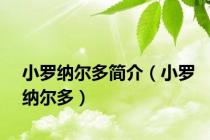 小罗纳尔多简介（小罗纳尔多）