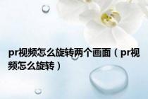 pr视频怎么旋转两个画面（pr视频怎么旋转）