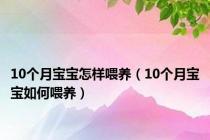 10个月宝宝怎样喂养（10个月宝宝如何喂养）
