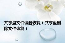 共享盘文件误删恢复（共享盘删除文件恢复）
