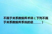 不属于关系数据库术语（下列不属于关系数据库系统的是______）