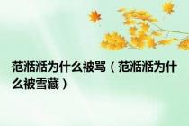 范湉湉为什么被骂（范湉湉为什么被雪藏）