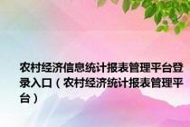 农村经济信息统计报表管理平台登录入口（农村经济统计报表管理平台）