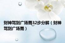 财神驾到广场舞32步分解（财神驾到广场舞）