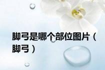 脚弓是哪个部位图片（脚弓）