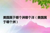 美国属于哪个洲哪个洋（美国属于哪个洲）