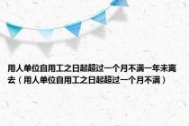 用人单位自用工之日起超过一个月不满一年未离去（用人单位自用工之日起超过一个月不满）