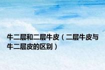 牛二层和二层牛皮（二层牛皮与牛二层皮的区别）