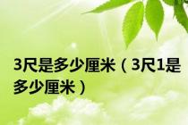 3尺是多少厘米（3尺1是多少厘米）