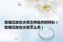 玫瑰花放在水里怎样能养时间长（玫瑰花放在水里怎么养）