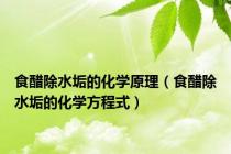 食醋除水垢的化学原理（食醋除水垢的化学方程式）