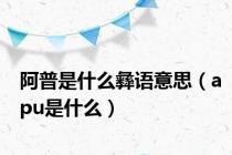 阿普是什么彝语意思（apu是什么）