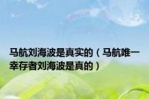 马航刘海波是真实的（马航唯一幸存者刘海波是真的）