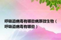 呼吸道病毒有哪些病原微生物（呼吸道病毒有哪些）
