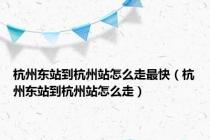 杭州东站到杭州站怎么走最快（杭州东站到杭州站怎么走）