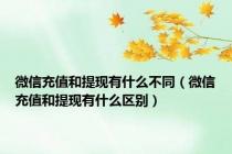 微信充值和提现有什么不同（微信充值和提现有什么区别）