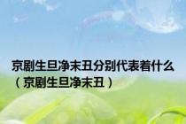 京剧生旦净末丑分别代表着什么（京剧生旦净末丑）