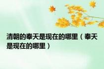 清朝的奉天是现在的哪里（奉天是现在的哪里）