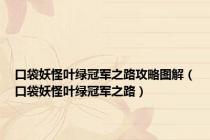 口袋妖怪叶绿冠军之路攻略图解（口袋妖怪叶绿冠军之路）