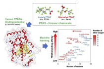 预测PFAS化学物质与人类PPARα结合特性的新方法