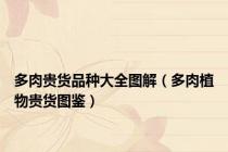 多肉贵货品种大全图解（多肉植物贵货图鉴）