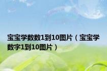 宝宝学数数1到10图片（宝宝学数字1到10图片）