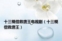 十三棍僧救唐王电视剧（十三棍僧救唐王）