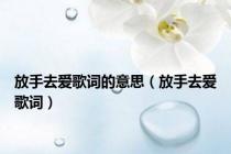 放手去爱歌词的意思（放手去爱歌词）