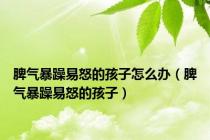 脾气暴躁易怒的孩子怎么办（脾气暴躁易怒的孩子）