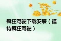 疯狂驾驶下载安装（福特疯狂驾驶）