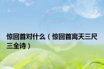 惊回首对什么（惊回首离天三尺三全诗）
