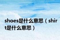 shoes是什么意思（shirt是什么意思）