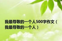 我最尊敬的一个人500字作文（我最尊敬的一个人）